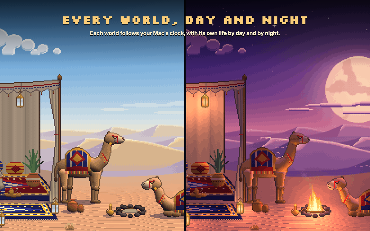 Oasis Camp by day and night